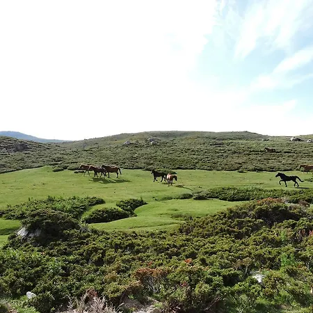 Hotel Sole E Monti 3*