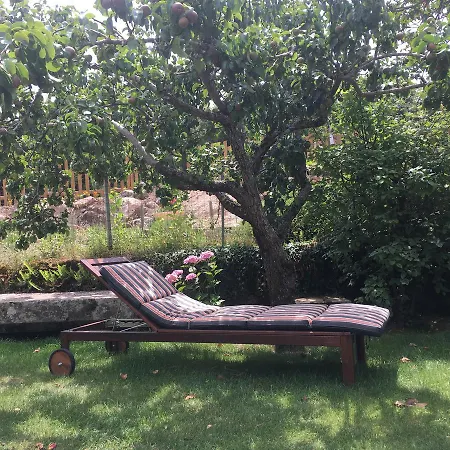 Sole E Monti