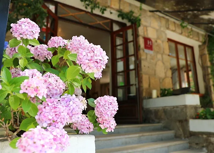 索勒e蒙提酒店 3* 奎泽