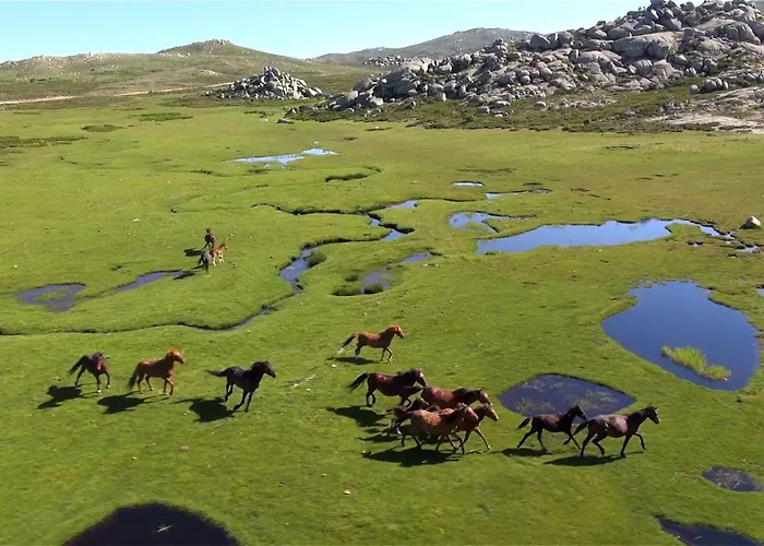 索勒e蒙提酒店 3*