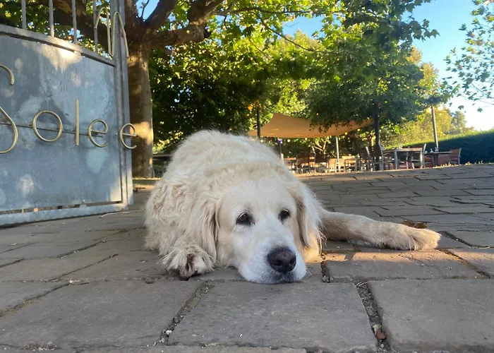 索勒e蒙提酒店 奎泽