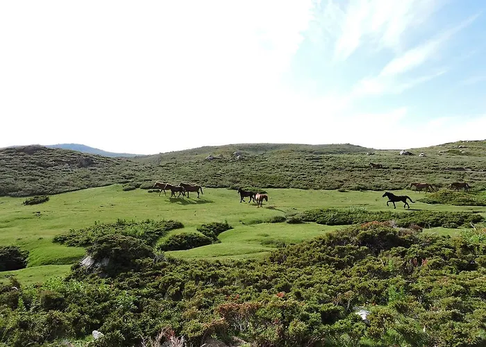 酒店 索勒e蒙提酒店 3*