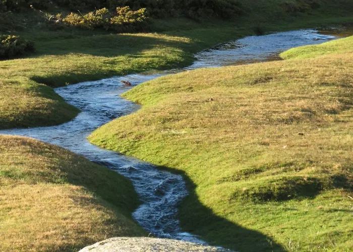 索勒e蒙提酒店 酒店