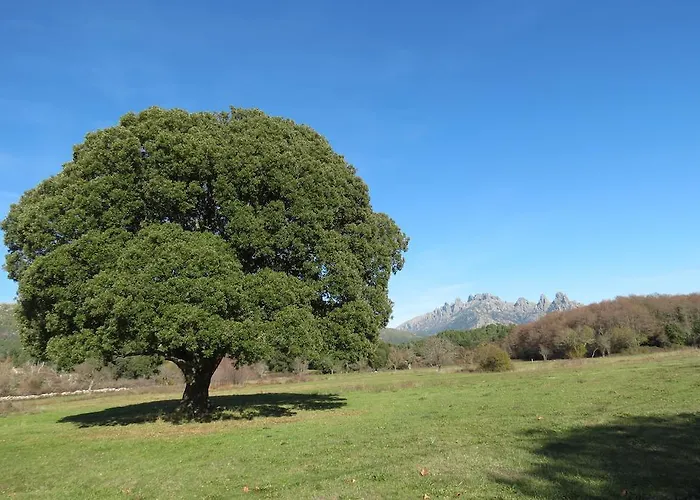 Sole E Monti ホテル 3*